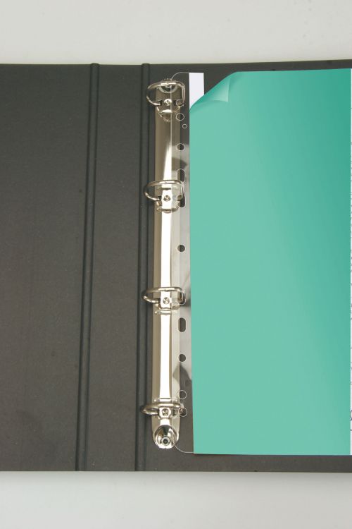 3L Filing Strips 295mm A4 Transparent 8804-50 (PK50)
