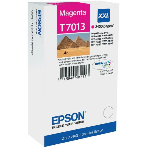 Epson C13T70134010 T7013 Magenta Ink 34ml
