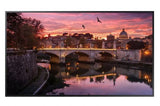 Samsung QB55R 54.6in 4K USB HDMI DIGITAL SIGNAGE